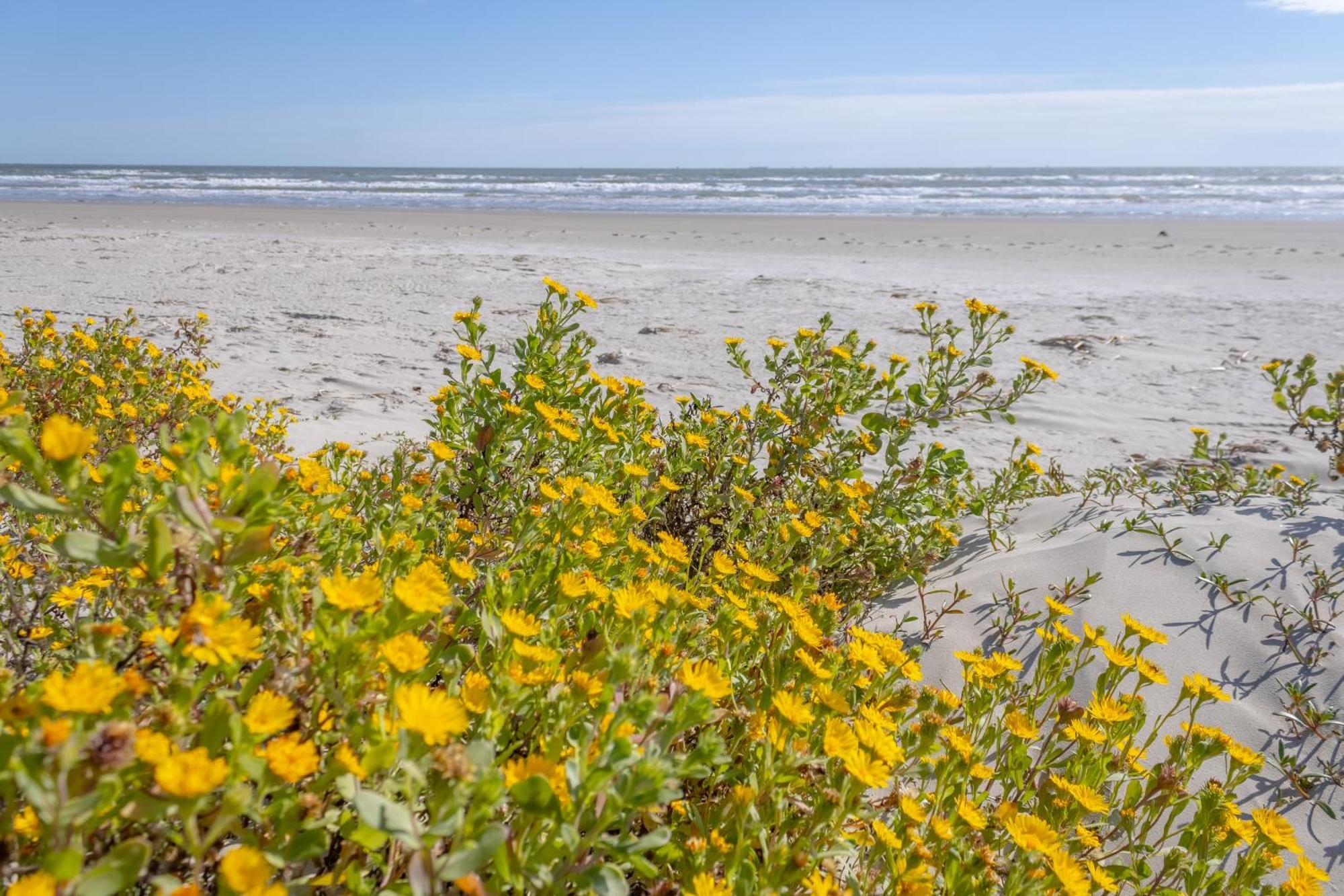 Islander East Condominiums Galveston Bagian luar foto